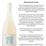 Pinot-Gris-2025-Ekin-Wine-Co-Review-Winery-Adelaide-Hills-6